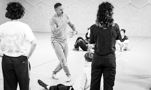 Defensa pública del Treball Fi de Màster: Laura Dorna Gómez