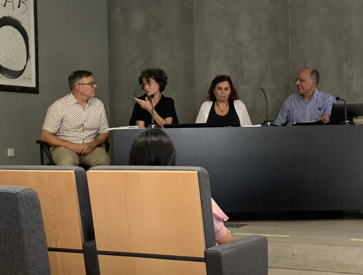 Bàrbara Raubert, professora de l'Institut del Teatre